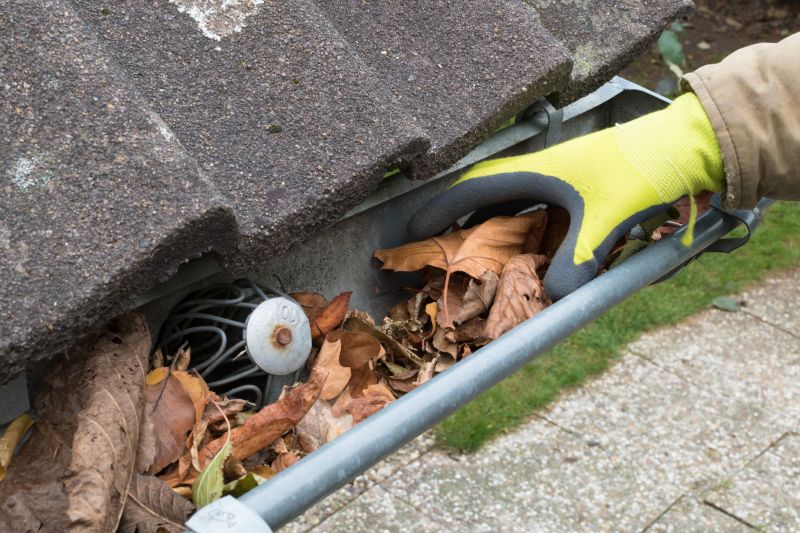 Clogged Gutter System