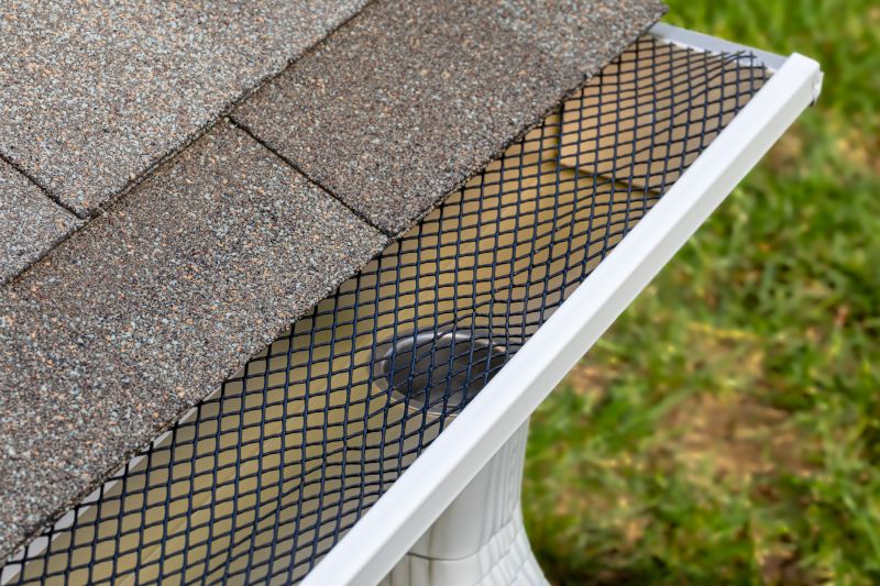 Gutter Mesh Installation in Seattle, WA
