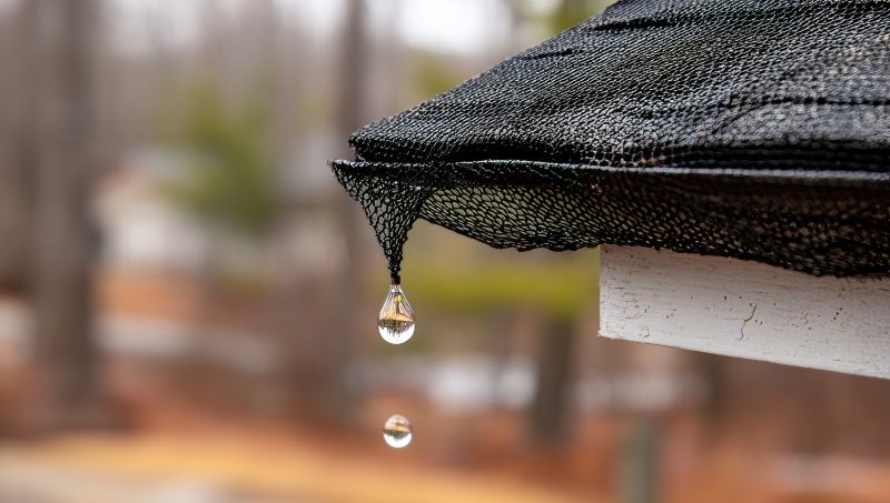 Gutter Mesh Installation in Boulder, CO