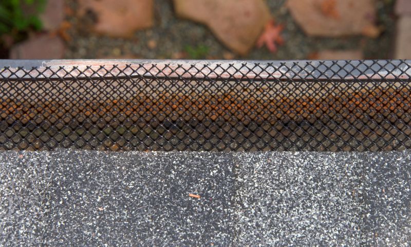 Gutter Mesh Installation in Longmont, CO