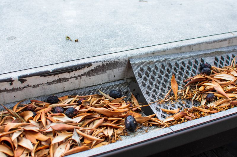 Gutter Mesh Installation in Mcdonough, GA